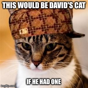 Scumbag Cat | THIS WOULD BE DAVID'S CAT; IF HE HAD ONE | image tagged in scumbag cat | made w/ Imgflip meme maker