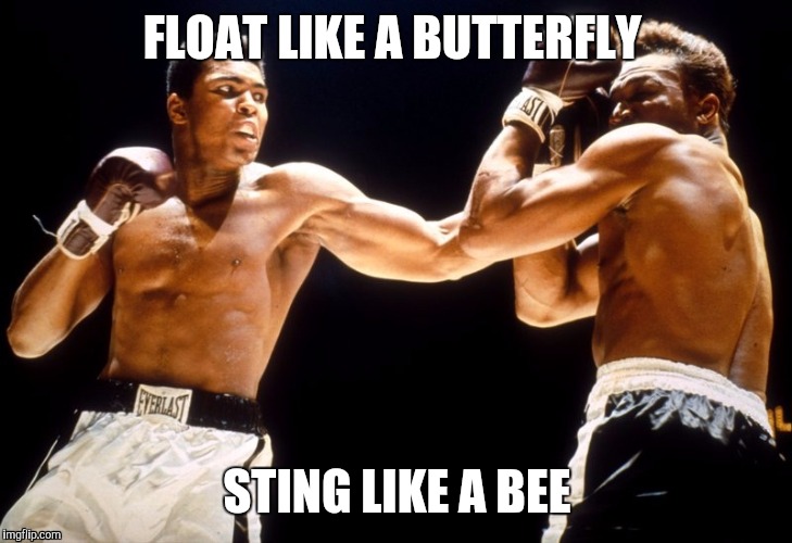 muhammad ali | FLOAT LIKE A BUTTERFLY; STING LIKE A BEE | image tagged in muhammad ali,died in 2016,memes,rip | made w/ Imgflip meme maker