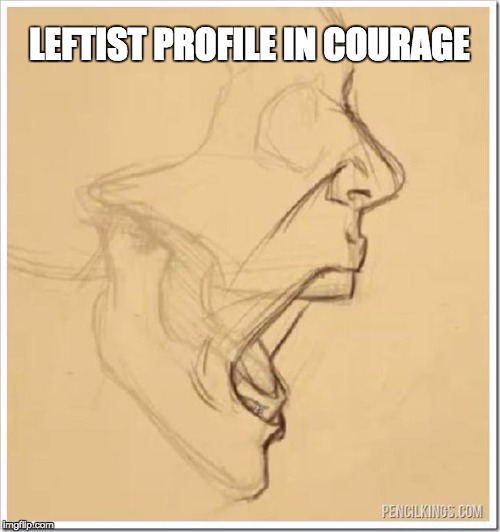 LEFTIST PROFILE IN COURAGE | image tagged in democrats | made w/ Imgflip meme maker