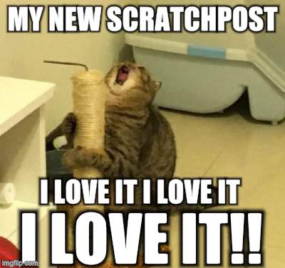 enjoying too much cat | MY NEW SCRATCHPOST; I LOVE IT I LOVE IT; I LOVE IT!! | image tagged in enjoying too much cat | made w/ Imgflip meme maker