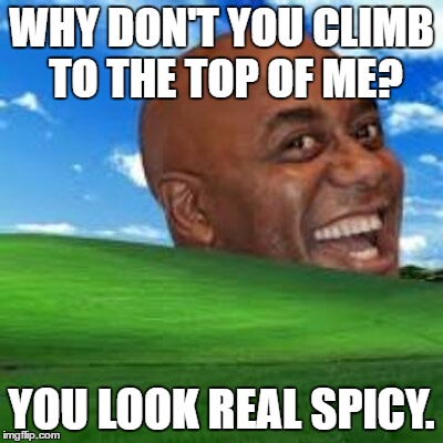 An attempt to revive a long dead meme | WHY DON'T YOU CLIMB TO THE TOP OF ME? YOU LOOK REAL SPICY. | image tagged in ainsley harriott pervert hills | made w/ Imgflip meme maker