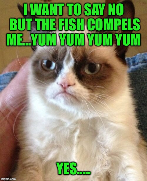 Grumpy Cat Meme | I WANT TO SAY NO BUT THE FISH COMPELS ME...YUM YUM YUM YUM YES..... | image tagged in memes,grumpy cat | made w/ Imgflip meme maker