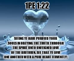 1PE 1:22; SEEING YE HAVE PURIFIED YOUR SOULS IN OBEYING THE TRUTH THROUGH THE SPIRIT UNTO UNFEIGNED LOVE OF THE BRETHREN, SEE THAT YE LOVE ONE ANOTHER WITH A PURE HEART FERVENTLY: | made w/ Imgflip meme maker