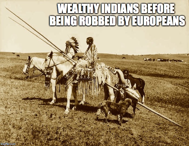 The Wealth Of  Indian Nations | WEALTHY INDIANS BEFORE BEING ROBBED BY EUROPEANS | image tagged in native american | made w/ Imgflip meme maker
