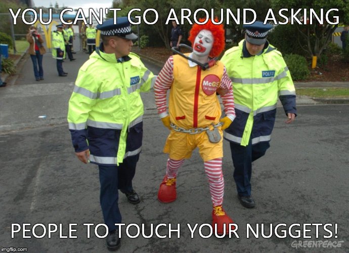 YOU CAN'T GO AROUND ASKING; PEOPLE TO TOUCH YOUR NUGGETS! | image tagged in mcdonalds | made w/ Imgflip meme maker