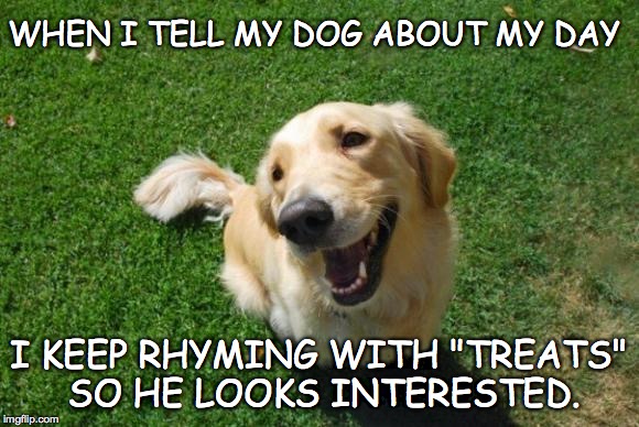 Interesting Day | WHEN I TELL MY DOG ABOUT MY DAY; I KEEP RHYMING WITH "TREATS" SO HE LOOKS INTERESTED. | image tagged in happy dog | made w/ Imgflip meme maker