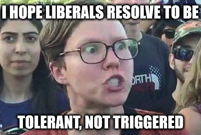 Triggered Liberals need to be tolerant  | I HOPE LIBERALS RESOLVE TO BE; TOLERANT, NOT TRIGGERED | image tagged in triggered liberal,new year resolutions | made w/ Imgflip meme maker
