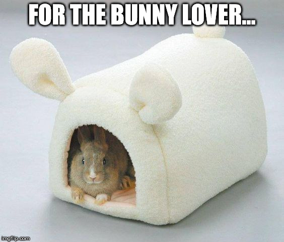 The Bunny Lover