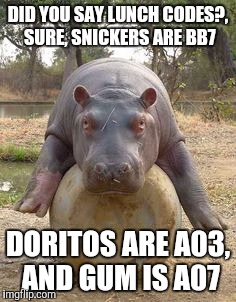 Happy hippo | DID YOU SAY LUNCH CODES?, SURE, SNICKERS ARE BB7 DORITOS ARE A03, AND GUM IS A07 | image tagged in happy hippo | made w/ Imgflip meme maker