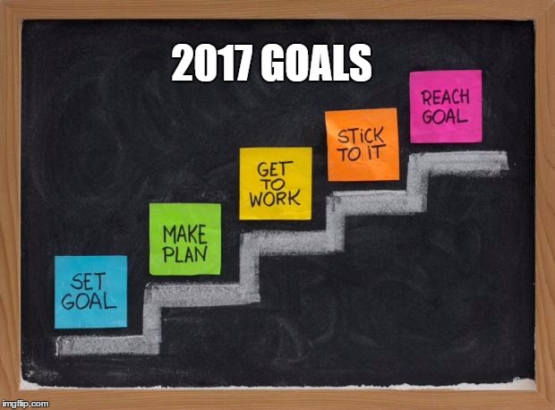 SETTING GOALS | 2017 GOALS | image tagged in setting goals | made w/ Imgflip meme maker