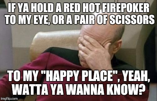 Captain Picard Facepalm Meme | IF YA HOLD A RED HOT FIREPOKER TO MY EYE, OR A PAIR OF SCISSORS TO MY "HAPPY PLACE", YEAH, WATTA YA WANNA KNOW? | image tagged in memes,captain picard facepalm | made w/ Imgflip meme maker