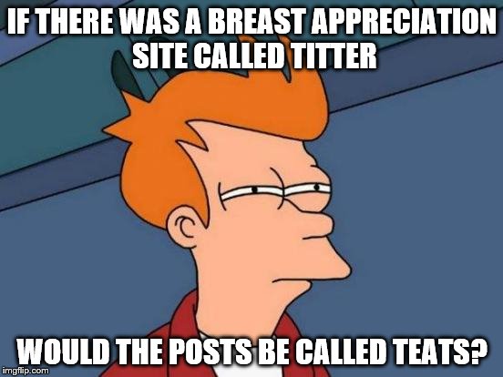 For The Lack Of A W | IF THERE WAS A BREAST APPRECIATION SITE CALLED TITTER; WOULD THE POSTS BE CALLED TEATS? | image tagged in memes,futurama fry | made w/ Imgflip meme maker