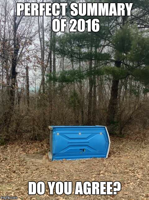 fallen porta potty | PERFECT SUMMARY OF 2016; DO YOU AGREE? | image tagged in fallen porta potty | made w/ Imgflip meme maker