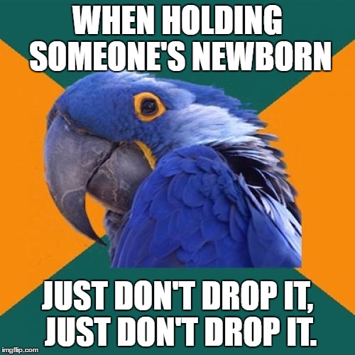 Paranoid Parrot | WHEN HOLDING SOMEONE'S NEWBORN; JUST DON'T DROP IT, JUST DON'T DROP IT. | image tagged in memes,paranoid parrot | made w/ Imgflip meme maker