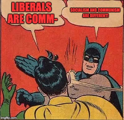 Batman Slapping Robin Meme | LIBERALS ARE COMM- SOCIALISM AND COMMUNISM ARE DIFFERENT! | image tagged in memes,batman slapping robin | made w/ Imgflip meme maker