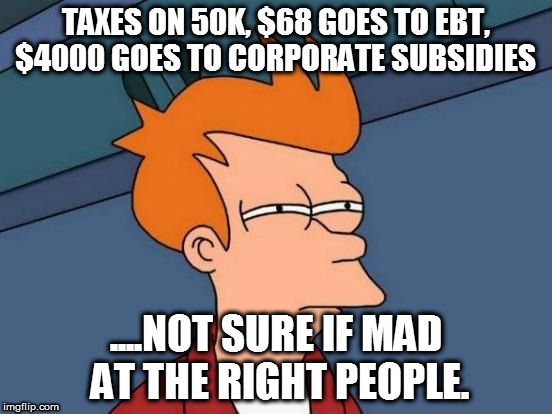 Futurama Fry Meme | TAXES ON 50K, $68 GOES TO EBT, $4000 GOES TO CORPORATE SUBSIDIES ....NOT SURE IF MAD AT THE RIGHT PEOPLE. | image tagged in memes,futurama fry | made w/ Imgflip meme maker
