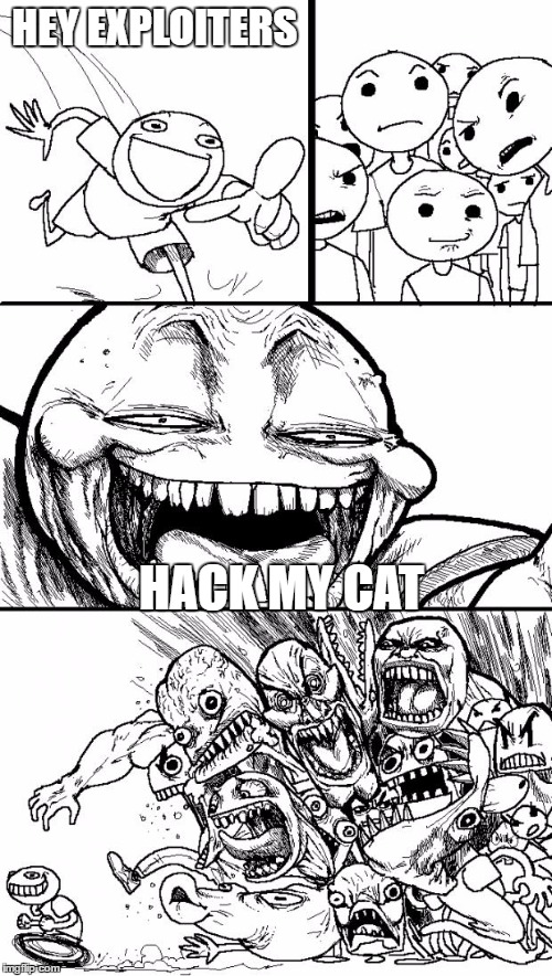 Hey Internet | HEY EXPLOITERS; HACK MY CAT | image tagged in memes,hey internet | made w/ Imgflip meme maker