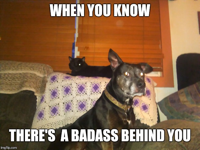 WHEN YOU KNOW; THERE'S  A BADASS BEHIND YOU | image tagged in pimp party | made w/ Imgflip meme maker