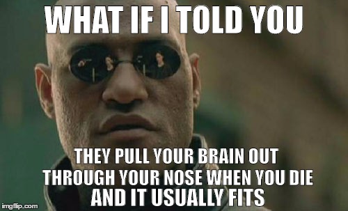 Matrix Morpheus | WHAT IF I TOLD YOU; THEY PULL YOUR BRAIN OUT THROUGH YOUR NOSE WHEN YOU DIE; AND IT USUALLY FITS | image tagged in memes,matrix morpheus | made w/ Imgflip meme maker