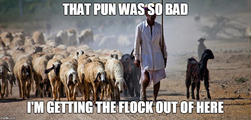 THAT PUN WAS SO BAD I'M GETTING THE FLOCK OUT OF HERE | made w/ Imgflip meme maker