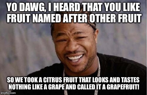 Yo Dawg Heard You Meme | YO DAWG, I HEARD THAT YOU LIKE FRUIT NAMED AFTER OTHER FRUIT SO WE TOOK A CITRUS FRUIT THAT LOOKS AND TASTES NOTHING LIKE A GRAPE AND CALLED | image tagged in memes,yo dawg heard you | made w/ Imgflip meme maker
