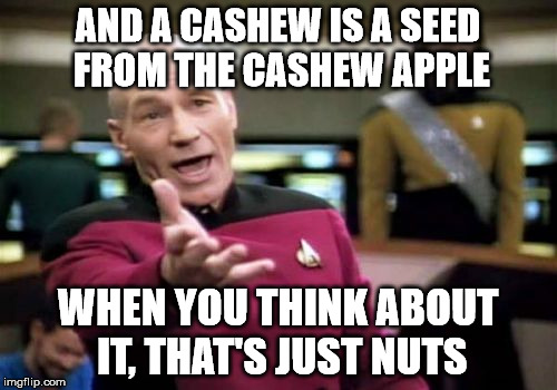 Picard Wtf Meme | AND A CASHEW IS A SEED FROM THE CASHEW APPLE WHEN YOU THINK ABOUT IT, THAT'S JUST NUTS | image tagged in memes,picard wtf | made w/ Imgflip meme maker