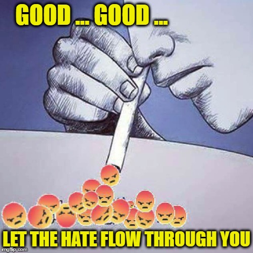 GOOD ... GOOD ... LET THE HATE FLOW THROUGH YOU | image tagged in let the hate flow through you,haters gonna hate | made w/ Imgflip meme maker