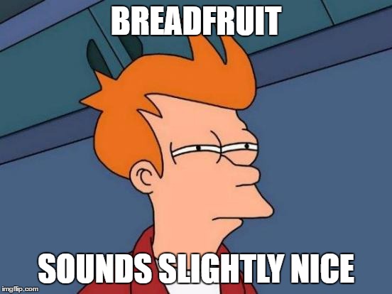 BREADFRUIT SOUNDS SLIGHTLY NICE | image tagged in memes,futurama fry | made w/ Imgflip meme maker