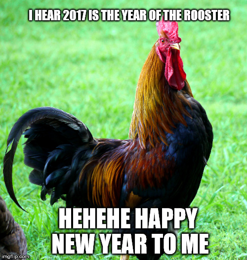 year of the rooster | I HEAR 2017 IS THE YEAR OF THE ROOSTER; HEHEHE HAPPY NEW YEAR TO ME | image tagged in rooster | made w/ Imgflip meme maker