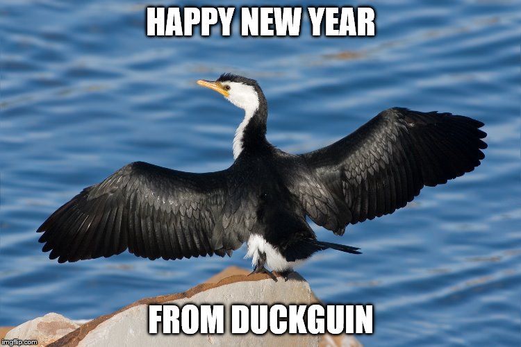Duckguin | HAPPY NEW YEAR; FROM DUCKGUIN | image tagged in duckguin | made w/ Imgflip meme maker