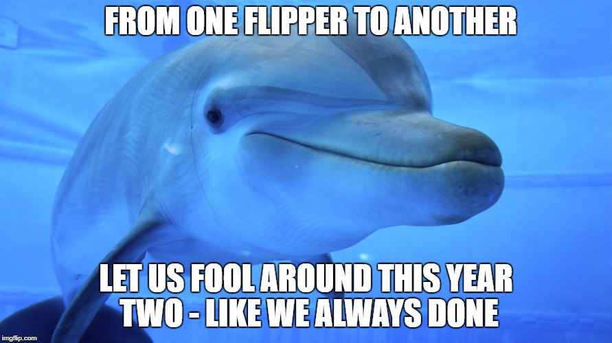 Flipper | FROM ONE FLIPPER TO ANOTHER; LET US FOOL AROUND THIS YEAR TWO - LIKE WE ALWAYS DONE | image tagged in flipper | made w/ Imgflip meme maker