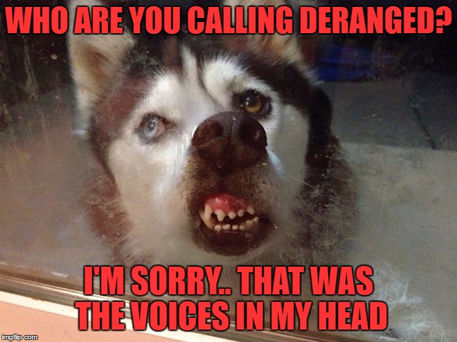 WHO ARE YOU CALLING DERANGED? I'M SORRY.. THAT WAS THE VOICES IN MY HEAD | made w/ Imgflip meme maker