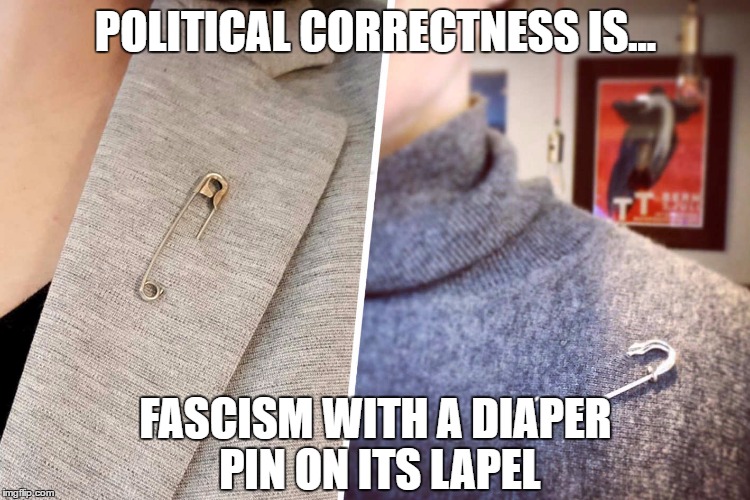 POLITICAL CORRECTNESS IS... FASCISM WITH A DIAPER PIN ON ITS LAPEL | image tagged in diaper pins | made w/ Imgflip meme maker
