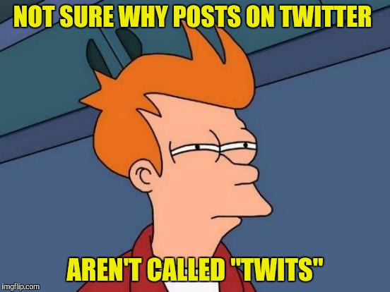 Futurama Fry Meme | NOT SURE WHY POSTS ON TWITTER AREN'T CALLED "TWITS" | image tagged in memes,futurama fry | made w/ Imgflip meme maker