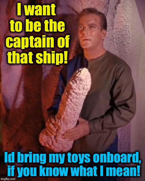 Spock dildo | I want to be the captain of that ship! Id bring my toys onboard, if you know what I mean! | image tagged in spock dildo | made w/ Imgflip meme maker