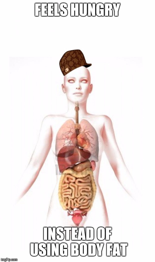 Scumbag body | FEELS HUNGRY; INSTEAD OF USING BODY FAT | image tagged in scumbag body | made w/ Imgflip meme maker
