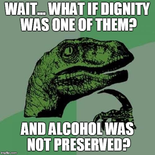 Philosoraptor Meme | WAIT... WHAT IF DIGNITY WAS ONE OF THEM? AND ALCOHOL WAS NOT PRESERVED? | image tagged in memes,philosoraptor | made w/ Imgflip meme maker