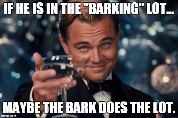 Leonardo Dicaprio Cheers Meme | IF HE IS IN THE "BARKING" LOT... MAYBE THE BARK DOES THE LOT. | image tagged in memes,leonardo dicaprio cheers | made w/ Imgflip meme maker