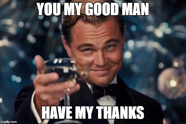 Leonardo Dicaprio Cheers Meme | YOU MY GOOD MAN HAVE MY THANKS | image tagged in memes,leonardo dicaprio cheers | made w/ Imgflip meme maker