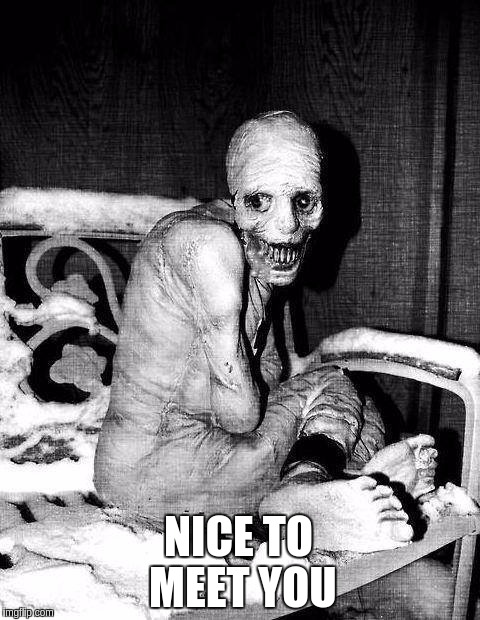 nice zombie | NICE TO MEET YOU | image tagged in nice to meet you,funny | made w/ Imgflip meme maker