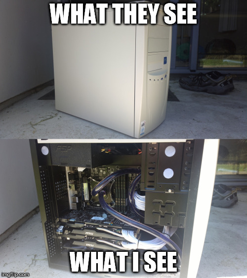 WHAT THEY SEE; WHAT I SEE | image tagged in pc gaming | made w/ Imgflip meme maker