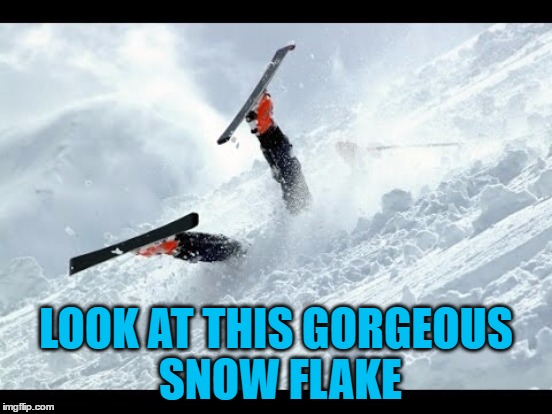 LOOK AT THIS GORGEOUS SNOW FLAKE | made w/ Imgflip meme maker