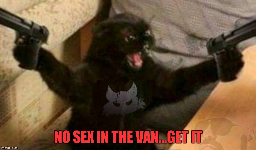NO SEX IN THE VAN...GET IT | made w/ Imgflip meme maker