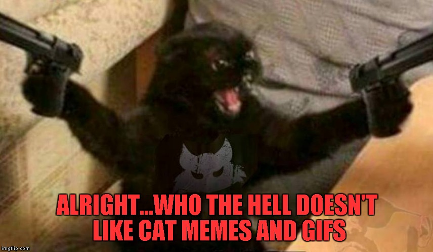 What can I say...? I just love this cat!!! | ALRIGHT...WHO THE HELL DOESN'T LIKE CAT MEMES AND GIFS | image tagged in cat with guns,memes,who the hell,cats,funny,animals | made w/ Imgflip meme maker
