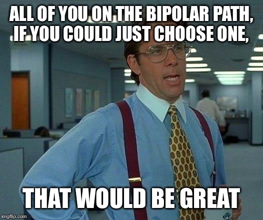 That Would Be Great Meme | ALL OF YOU ON THE BIPOLAR PATH, IF YOU COULD JUST CHOOSE ONE, THAT WOULD BE GREAT | image tagged in memes,that would be great | made w/ Imgflip meme maker