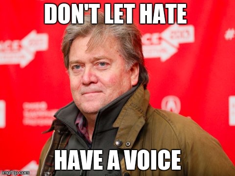 Steve Bannon | DON'T LET HATE; HAVE A VOICE | image tagged in steve bannon | made w/ Imgflip meme maker