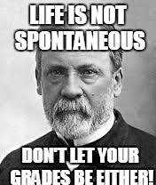 LIFE IS NOT SPONTANEOUS; DON'T LET YOUR GRADES BE EITHER! | image tagged in life,grades | made w/ Imgflip meme maker