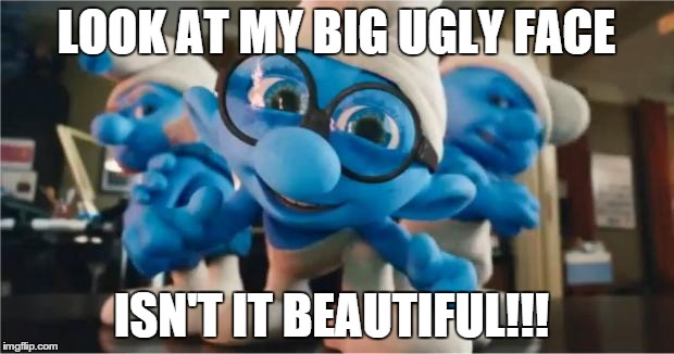 smurfs | LOOK AT MY BIG UGLY FACE; ISN'T IT BEAUTIFUL!!! | image tagged in smurfs | made w/ Imgflip meme maker