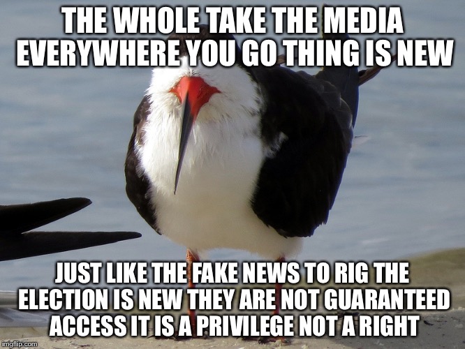 Even Less Popular Opinion Bird | THE WHOLE TAKE THE MEDIA EVERYWHERE YOU GO THING IS NEW JUST LIKE THE FAKE NEWS TO RIG THE ELECTION IS NEW THEY ARE NOT GUARANTEED ACCESS IT | image tagged in even less popular opinion bird | made w/ Imgflip meme maker