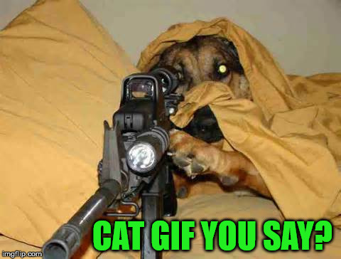 Sniper Dog | CAT GIF YOU SAY? | image tagged in sniper dog | made w/ Imgflip meme maker